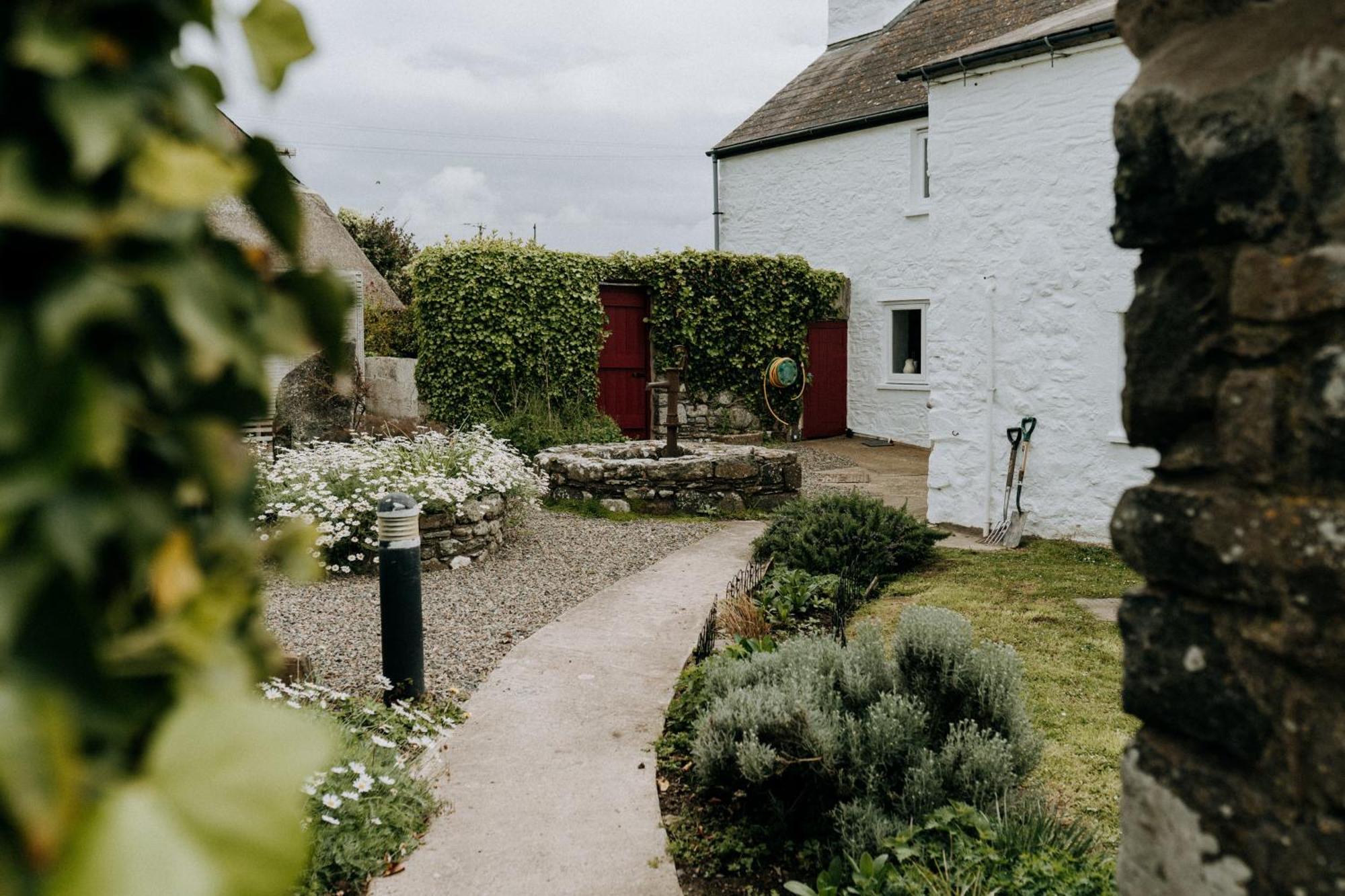 Treleddyn Farmhouse St. Davids  Exteriör bild